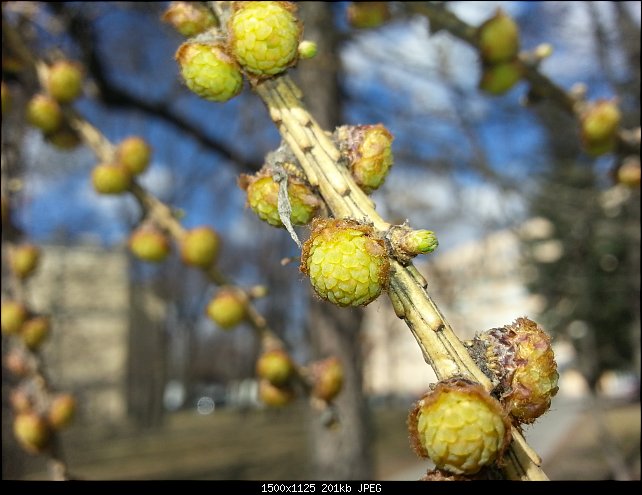 Нажмите на изображение для увеличения
Название: 2014-04-09 15.04.33.jpg
Просмотров: 195
Размер:	201.1 Кб
ID:	3880